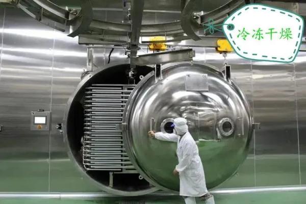 脱水蔬菜出口必要什么资质？（附具体办理流程）