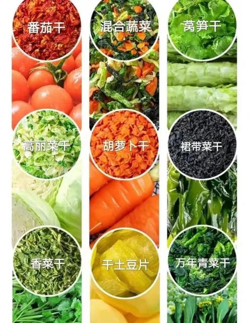 脱水蔬菜出口必要什么资质？（附具体办理流程）