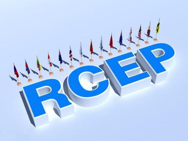 rcep原产地证书办理当苦衷项有哪些